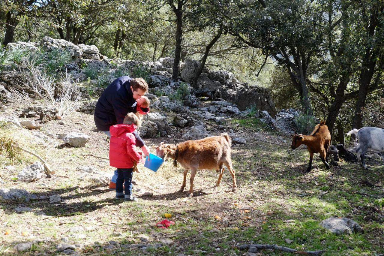 Agroturismo Son Alzines Βίλα Lluc Εξωτερικό φωτογραφία