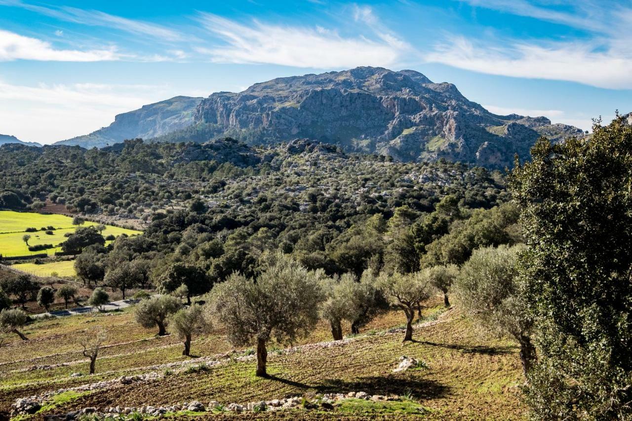 Agroturismo Son Alzines Βίλα Lluc Εξωτερικό φωτογραφία